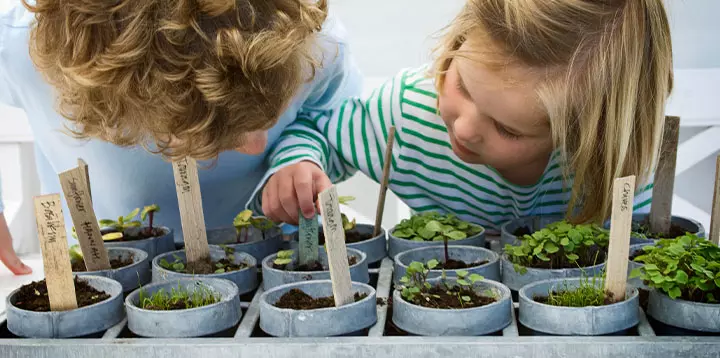 Explorar la naturaleza puede ser una actividad física muy educativa 