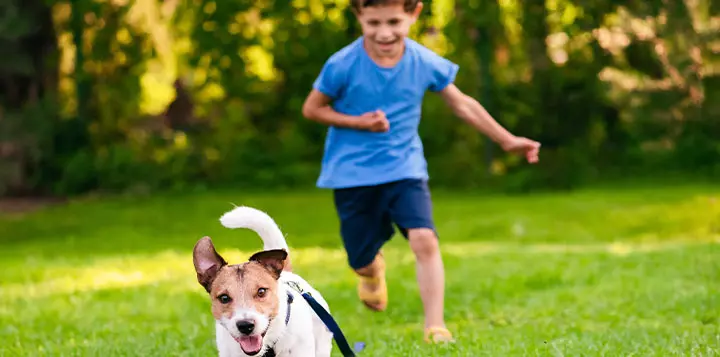 Niño corriendo con su perro al aire libre 