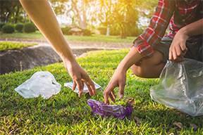 
Aprende todo sobre la ecología y el medio ambiente con MILO®
