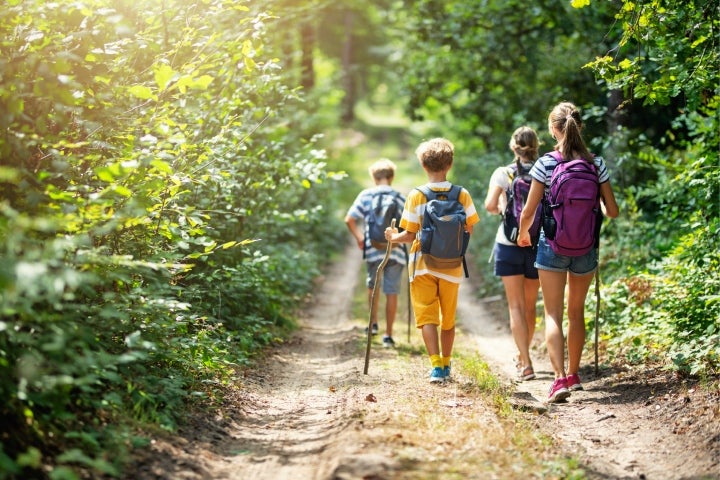 Niños haciendo caminatas ecológicas