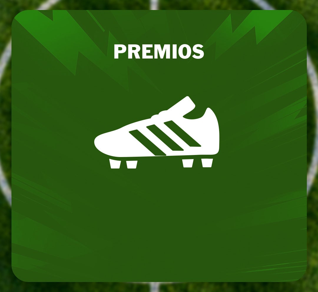 Premios Copa Milo