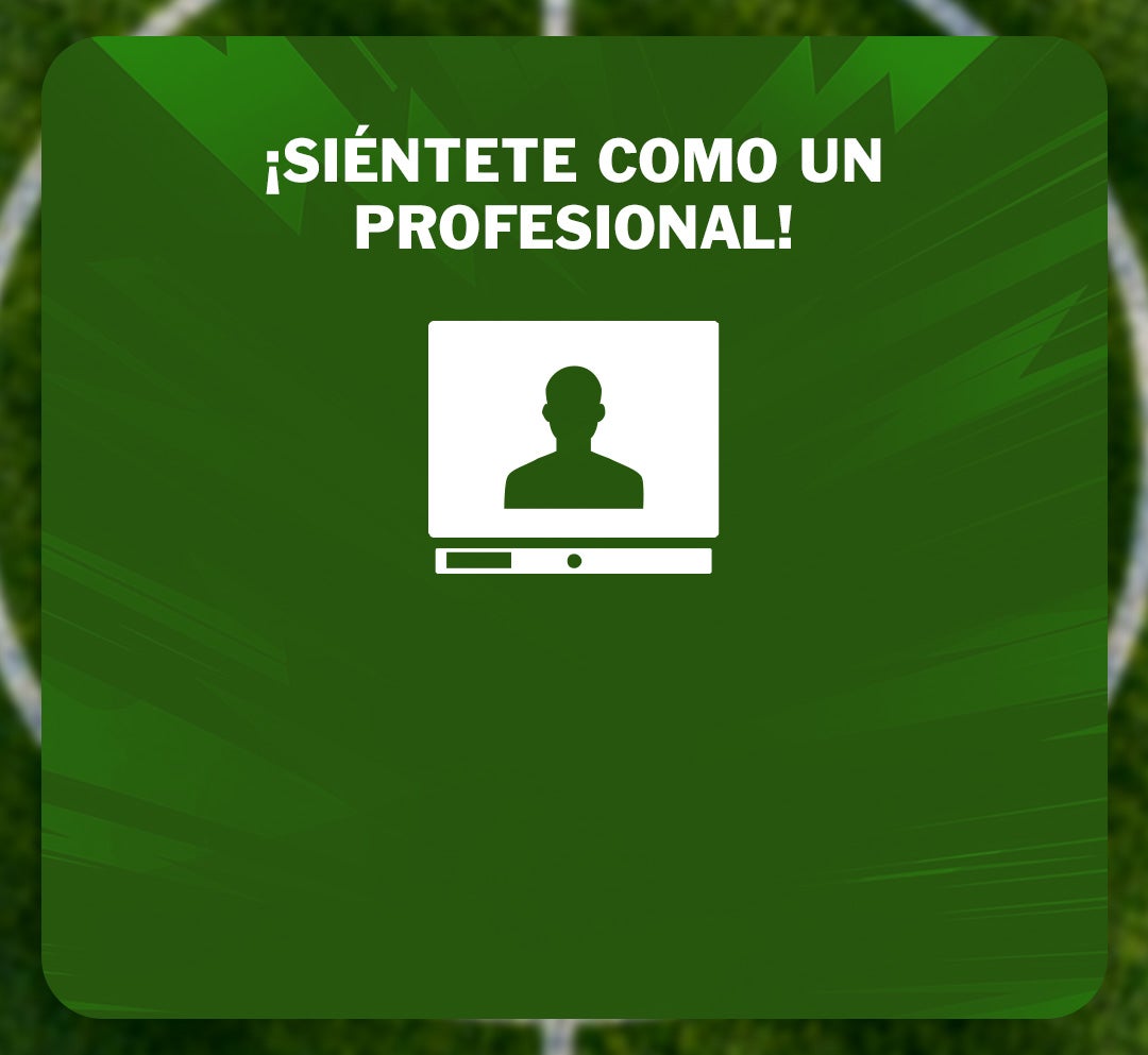 Profesional