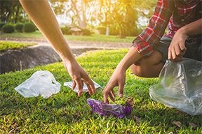 Aprende todo sobre la ecología y el medio ambiente con MILO®