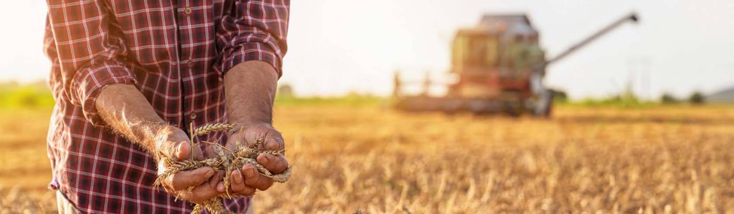 Un hombre empleando métodos de agricultura sostenible