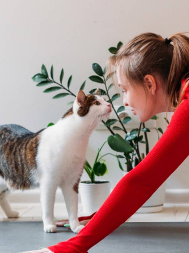 Mujer practicando yoga en su casa junto a su gato.