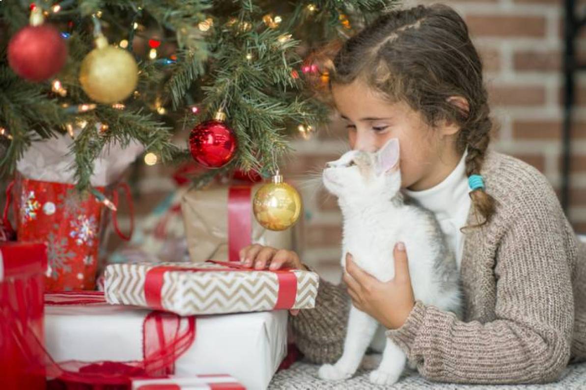 Adornos de navidad y por dentro una vela para que ilumine